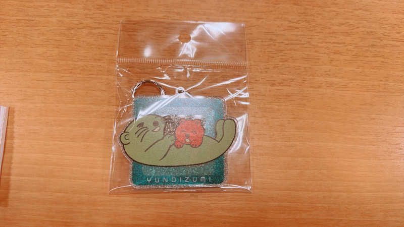 グンマー蒸し子さんの湯乃泉 草加健康センターのサ活写真