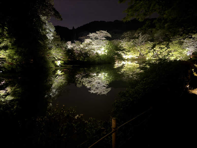 グンマー蒸し子さんの御船山楽園ホテル  らかんの湯のサ活写真
