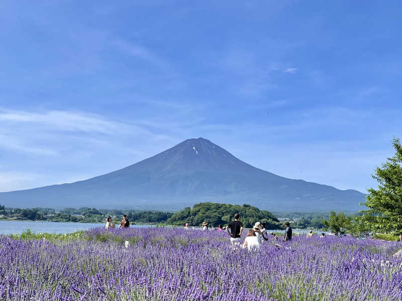 NAOさんの奥山温泉のサ活写真