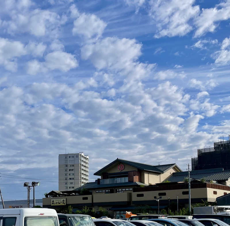 NAOさんの豊田挙母温泉 おいでんの湯のサ活写真