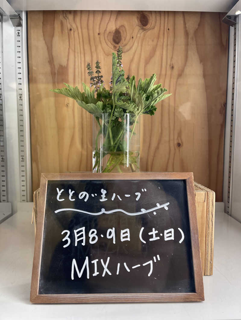 NAOさんの岐阜各務原 恵みの湯のサ活写真