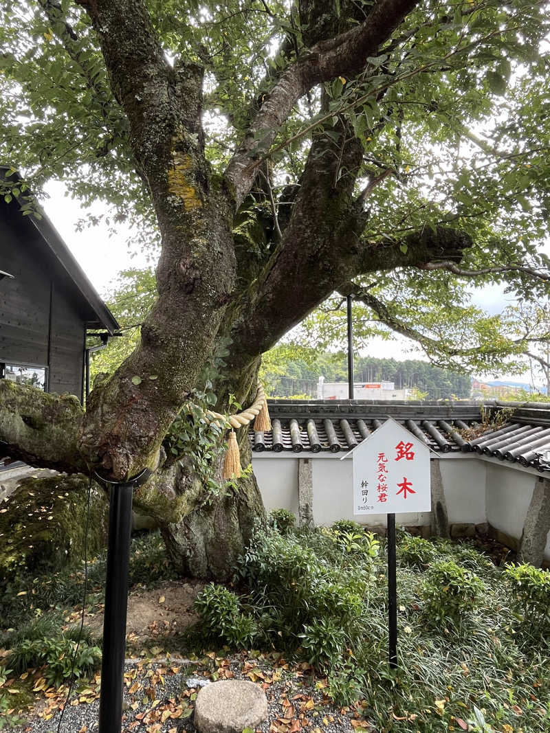 あおいくまさんの福知山温泉 養老の湯のサ活写真