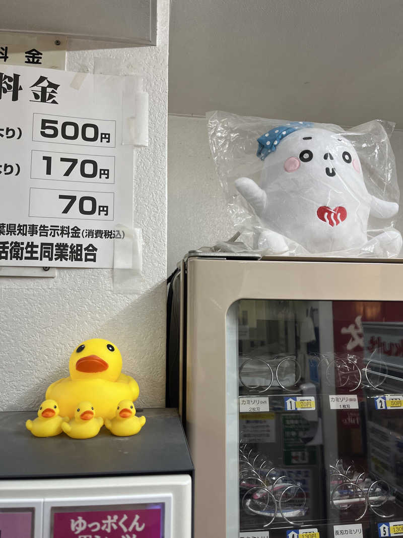 あおいくまさんの松戸ヘルスランド(みなもと湯)のサ活写真