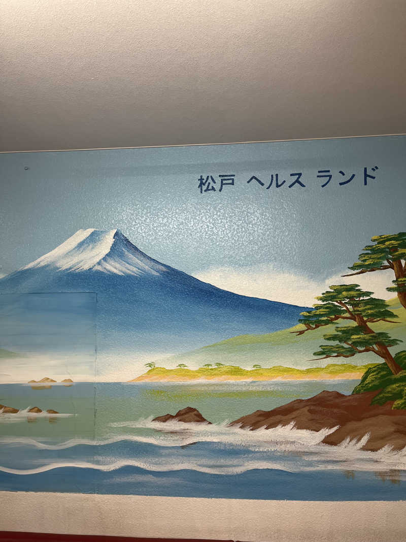 あおいくまさんの松戸ヘルスランド(みなもと湯)のサ活写真