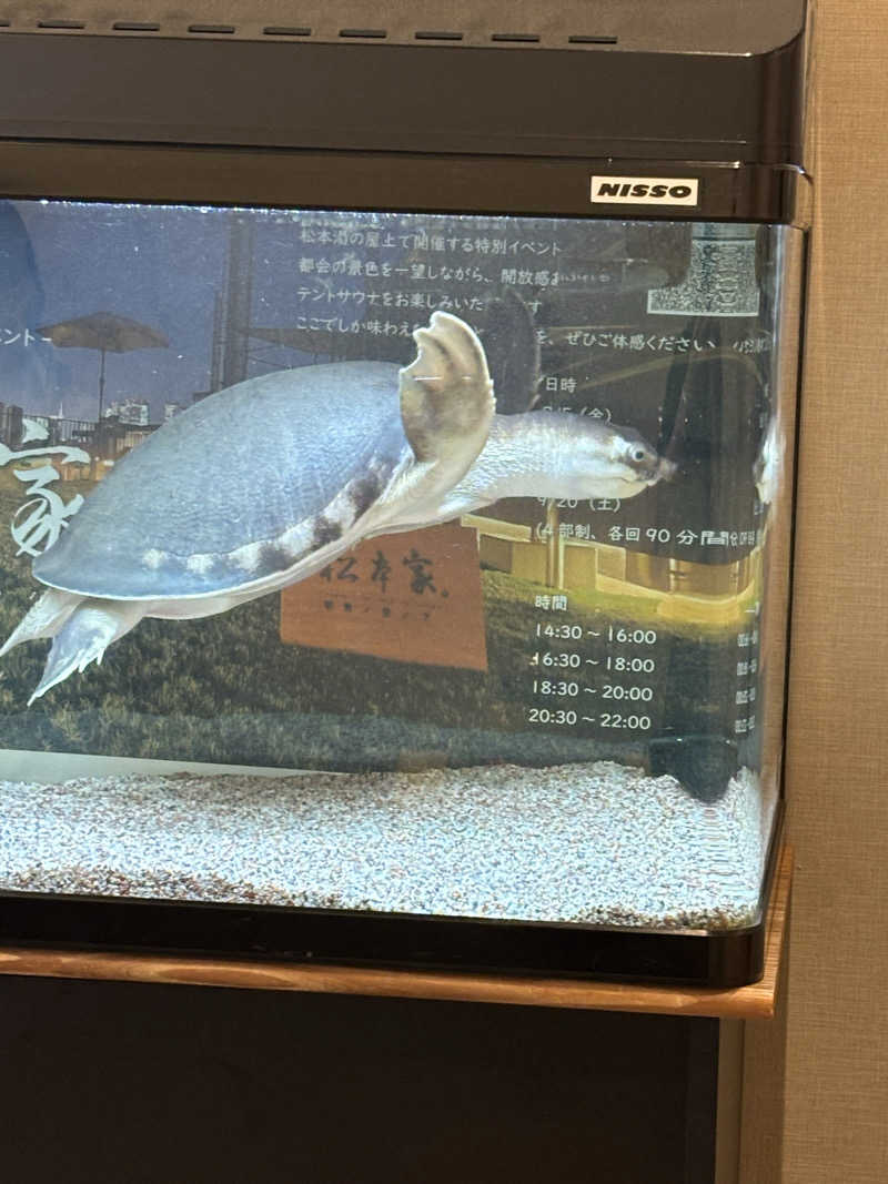 よしさんの松本湯のサ活写真