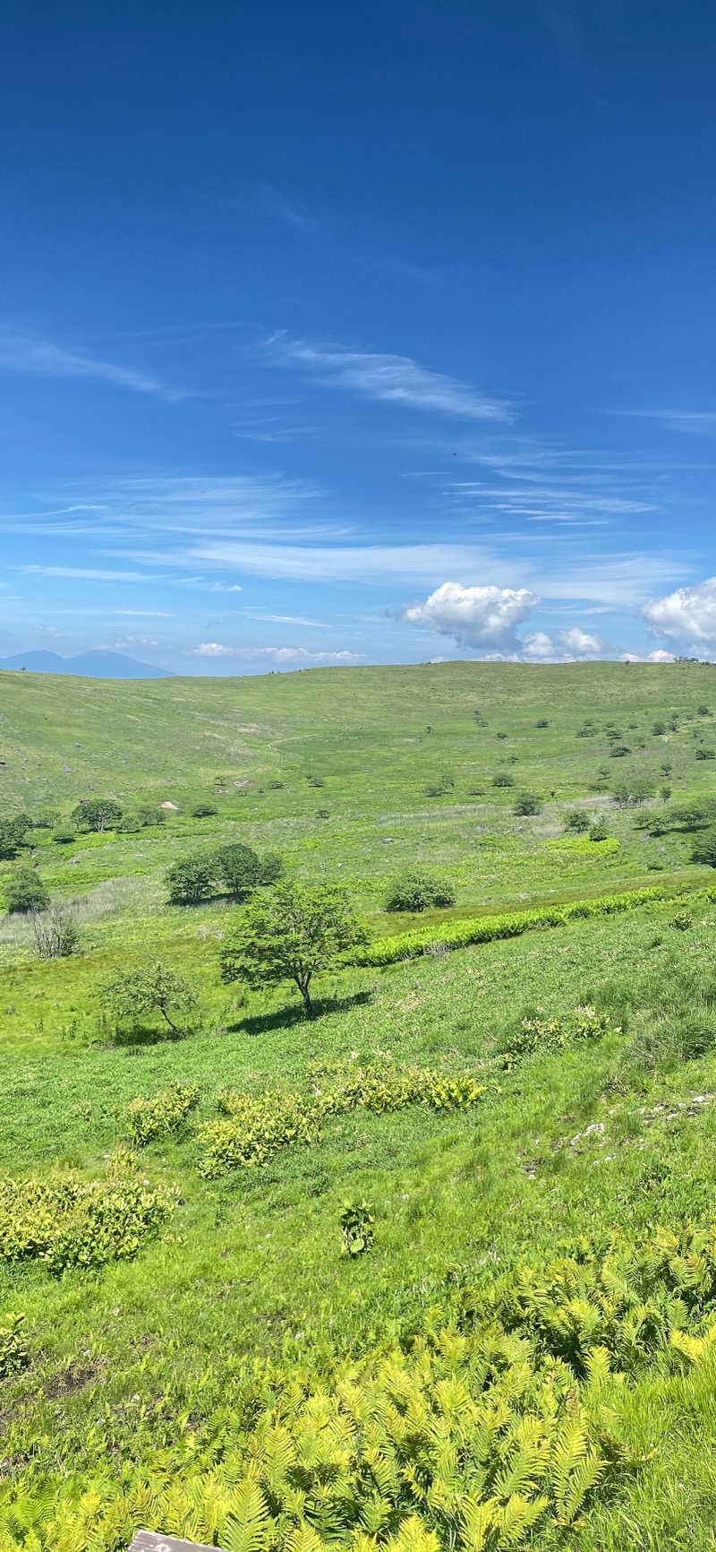 みなちさんの白樺リゾート 池の平ホテル「湖天の湯」のサ活写真