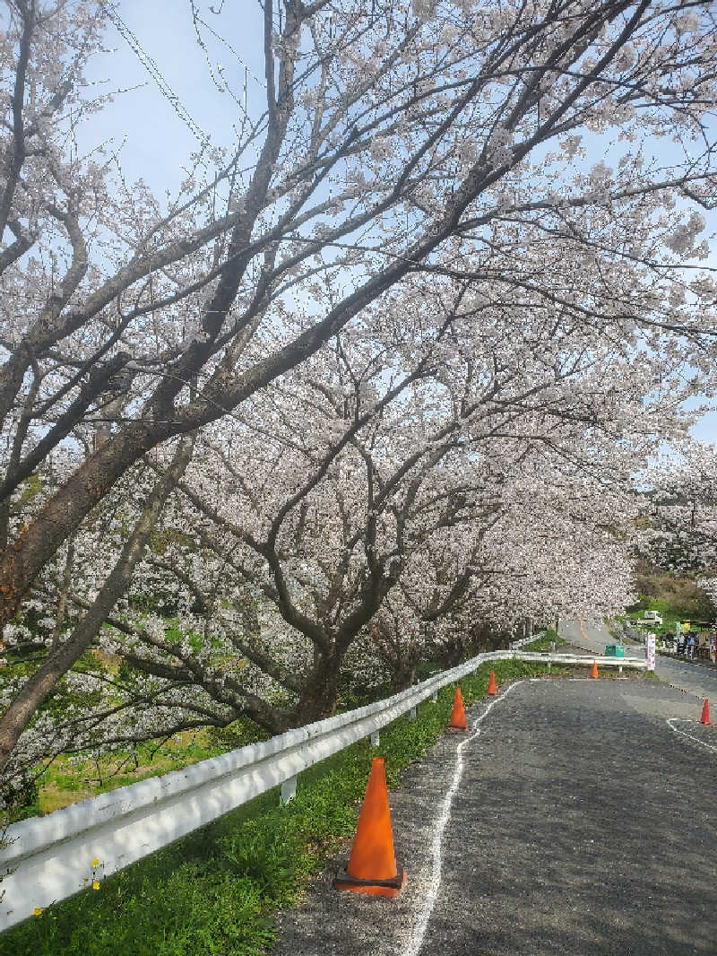 motoshiさんの新宮温泉 ふくの湯のサ活写真