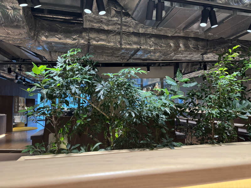 サウナ野郎！さんの高輪SAUNASのサ活写真