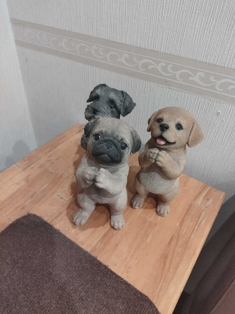 ヨシヒコさんのサウナ&カプセルホテル レインボー新小岩店のサ活写真