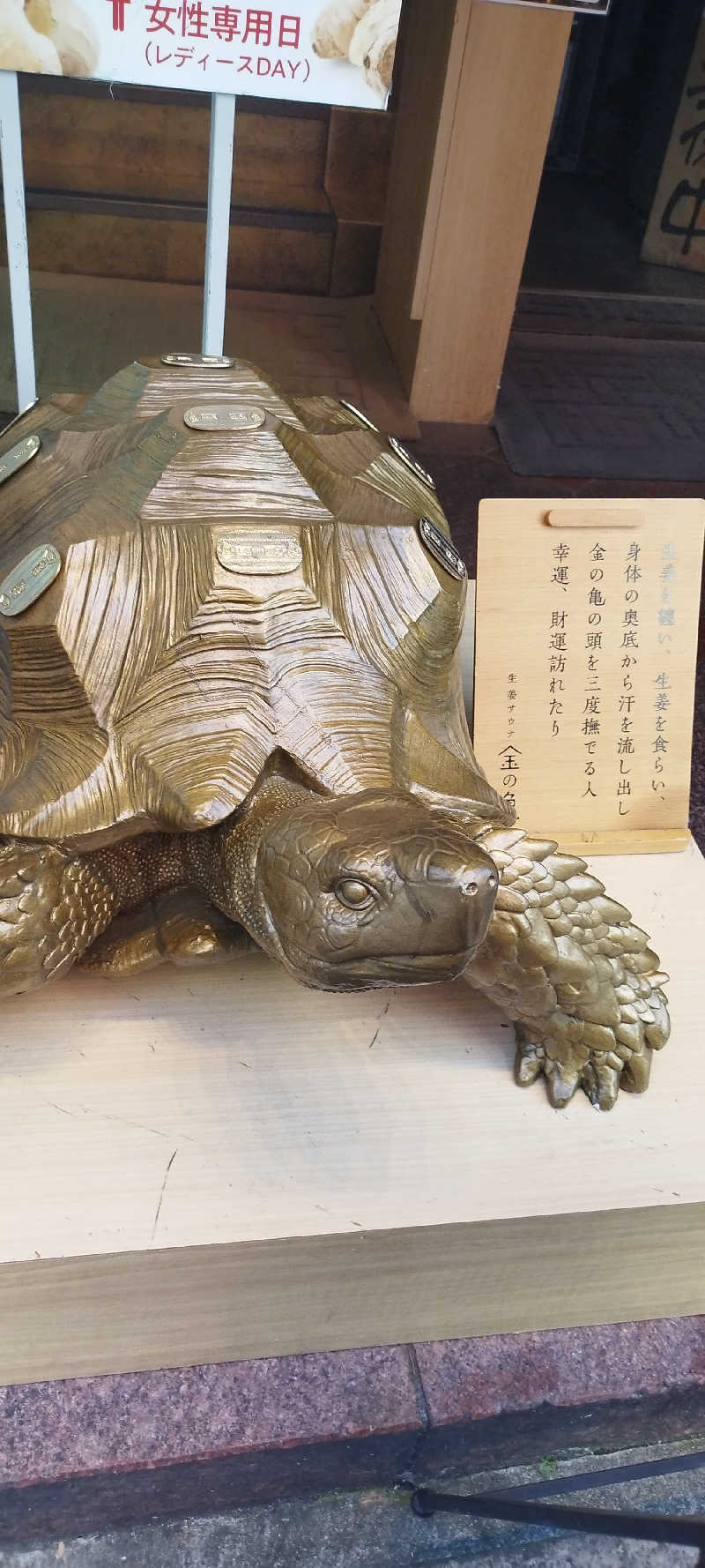 ヨシヒコさんの生姜サウナ「金の亀」のサ活写真