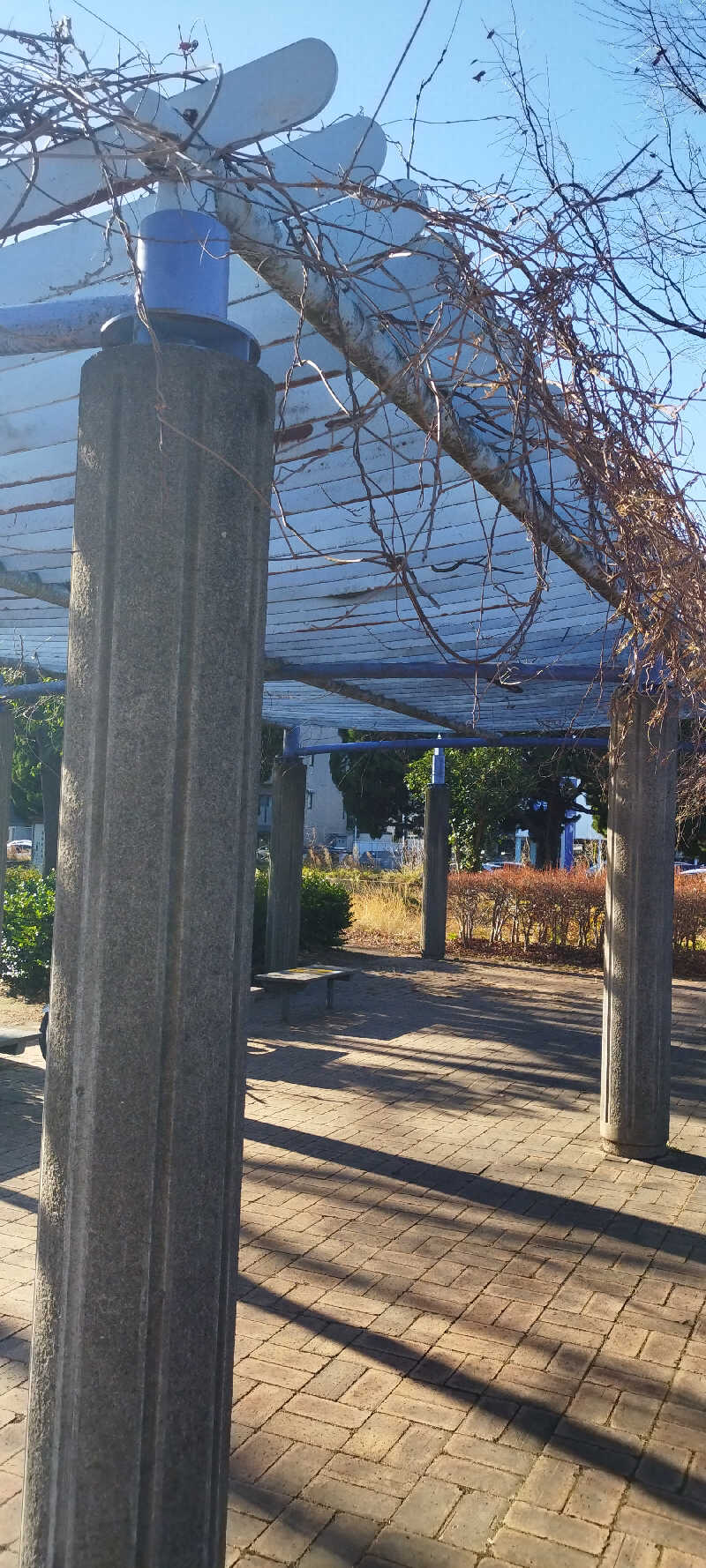 ヨシヒコさんの矢向湯のサ活写真