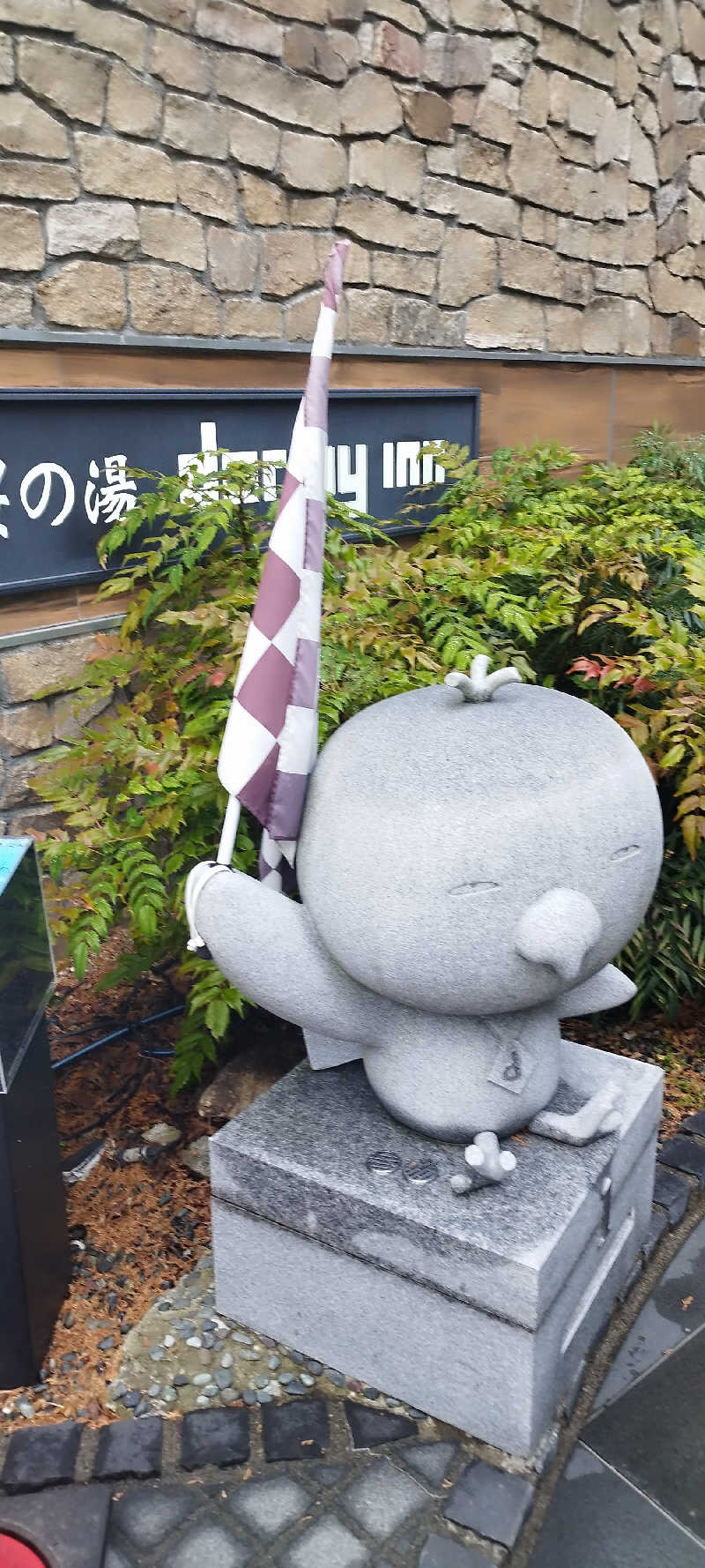 ヨシヒコさんの天然温泉 富士桜の湯 ドーミーインEXPRESS富士山御殿場のサ活写真