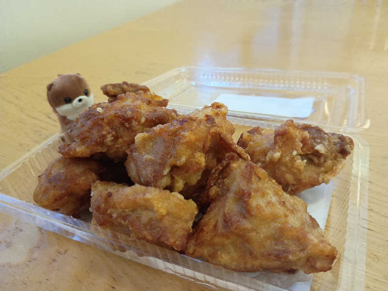 フコロミオンさんの天然温泉 ふみぞの湯のサ活写真