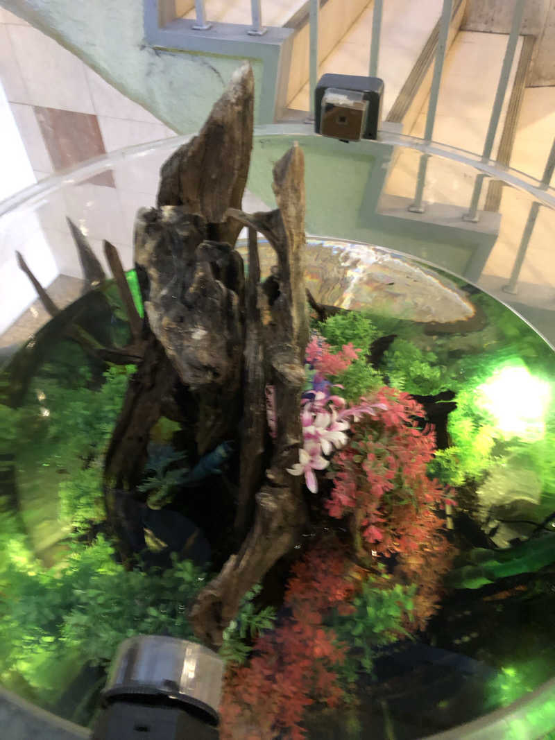 Mr.黒ラベルさんのウェルビー福岡のサ活写真