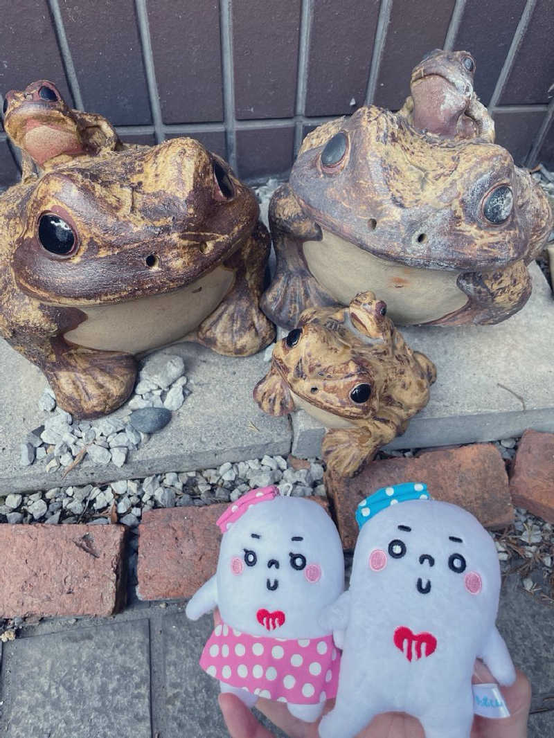 21mgさんの黒湯の温泉 ゆ〜シティー蒲田のサ活写真