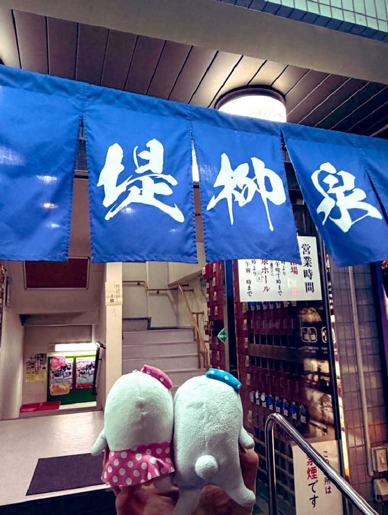 21mgさんの堤柳泉(ていりゅうせん)のサ活写真