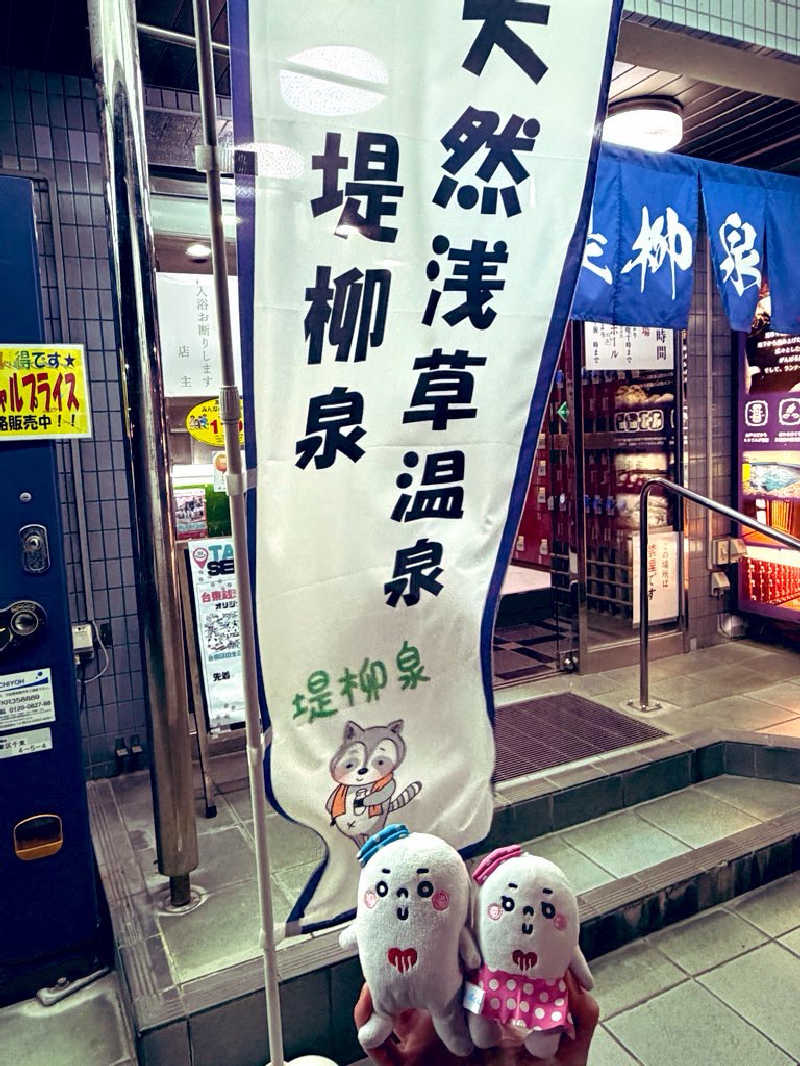 21mgさんの堤柳泉(ていりゅうせん)のサ活写真