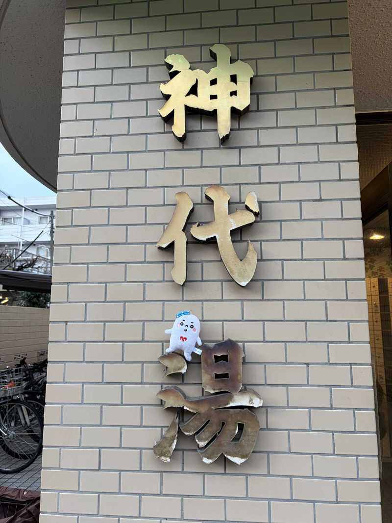 21mgさんの神代湯のサ活写真