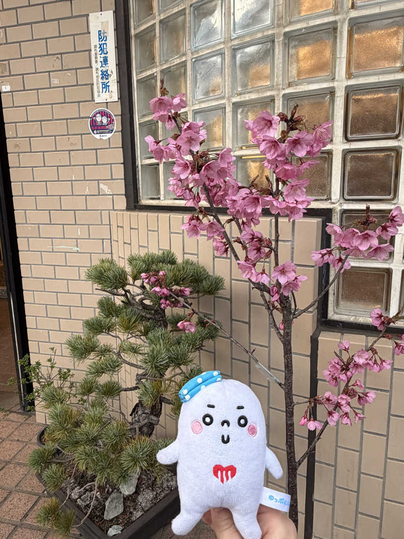21mgさんの神代湯のサ活写真