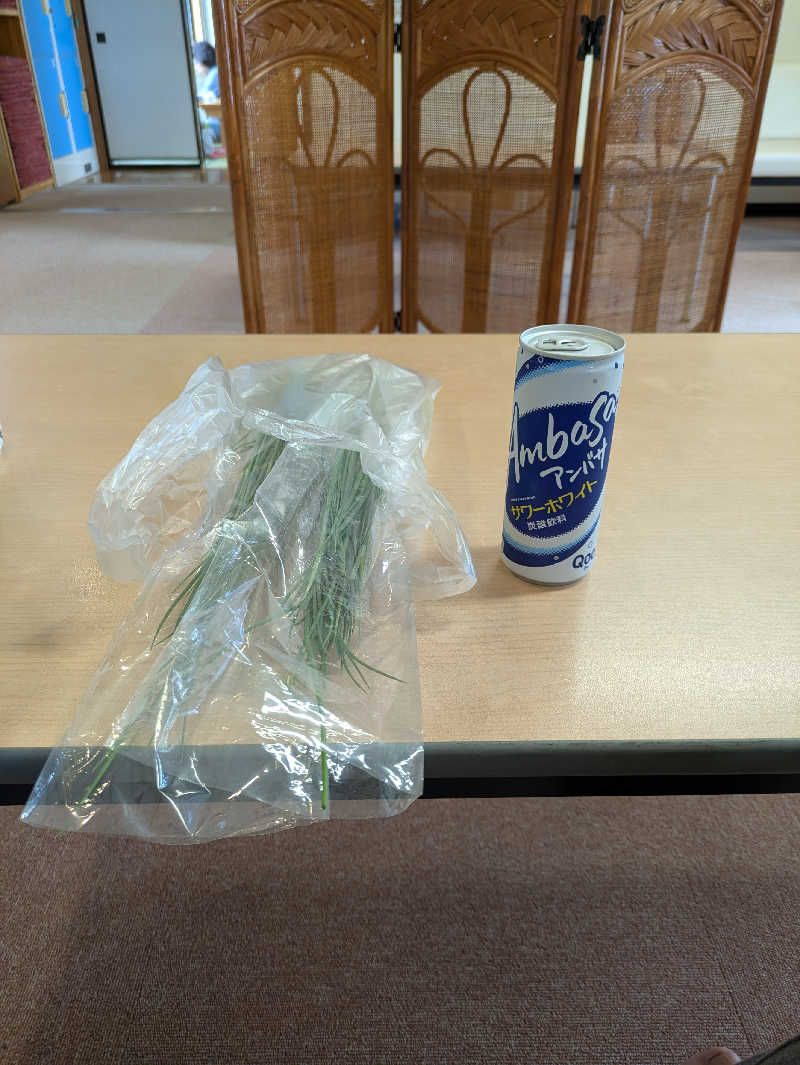 サウナ太郎さんの網張温泉 ありね山荘のサ活写真