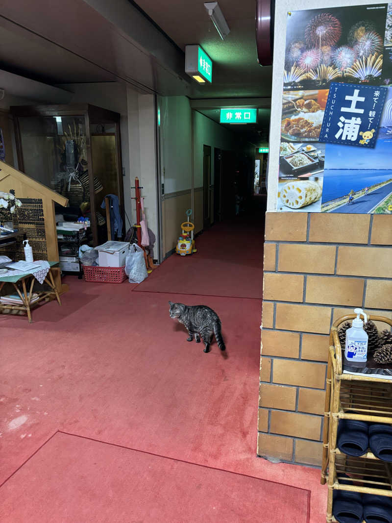 せさんの土浦超音波温泉センター(ビジネス旅館土浦)のサ活写真