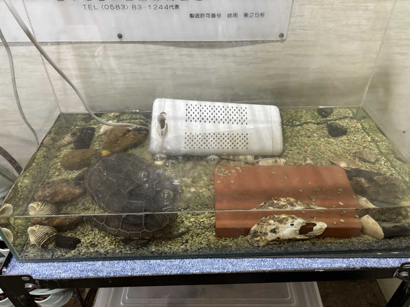せさんの土浦超音波温泉センター(ビジネス旅館土浦)のサ活写真