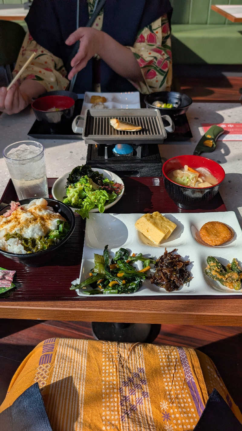 おっちさんの大江戸温泉物語Premium 岩手花巻のサ活写真