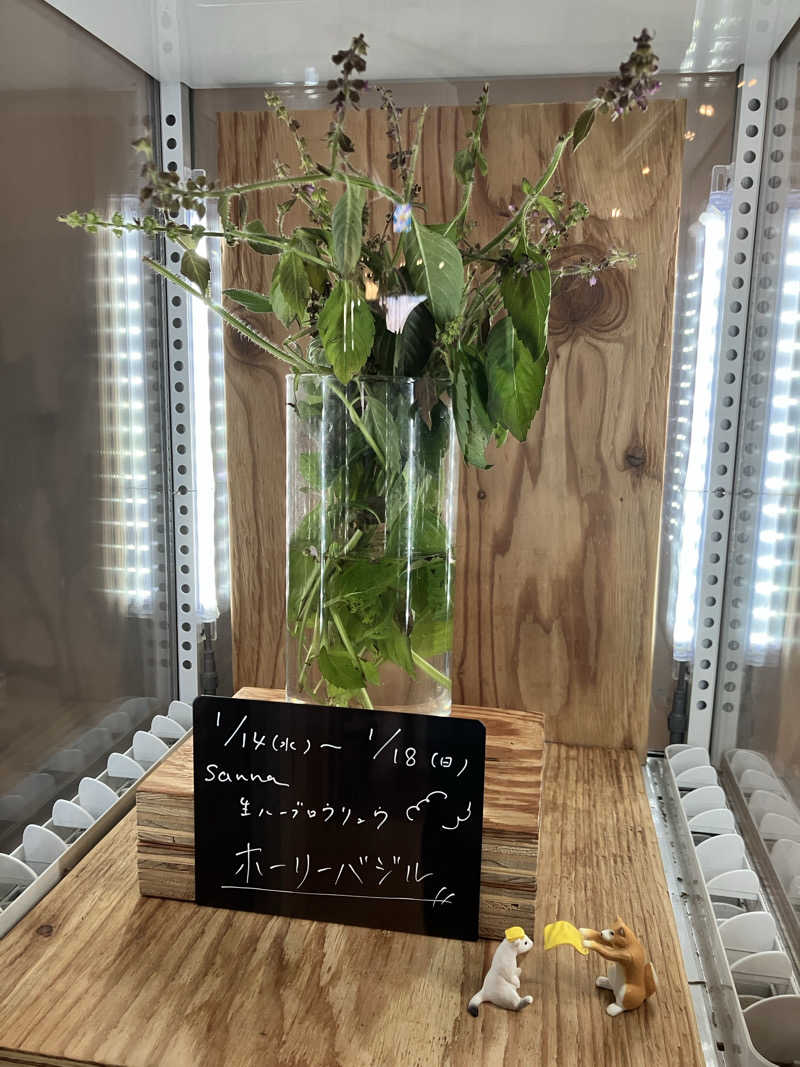 働いて働いてまいりますさんの岐阜各務原 恵みの湯のサ活写真