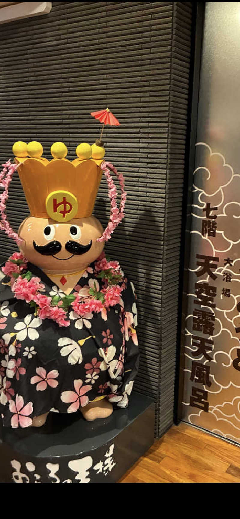 きよさんのおふろの王様 高座渋谷駅前店のサ活写真