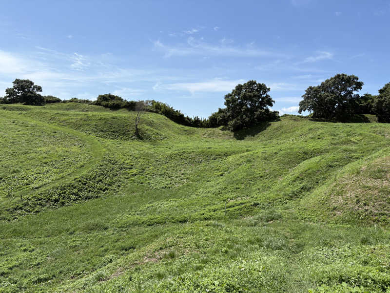 D naikakuさんのダイワロイネットホテル秋田駅前のサ活写真