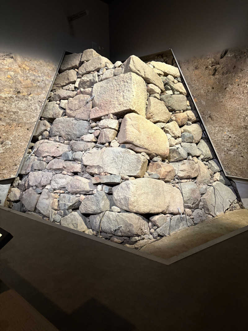 D naikakuさんの花園温泉 sauna kukkaのサ活写真