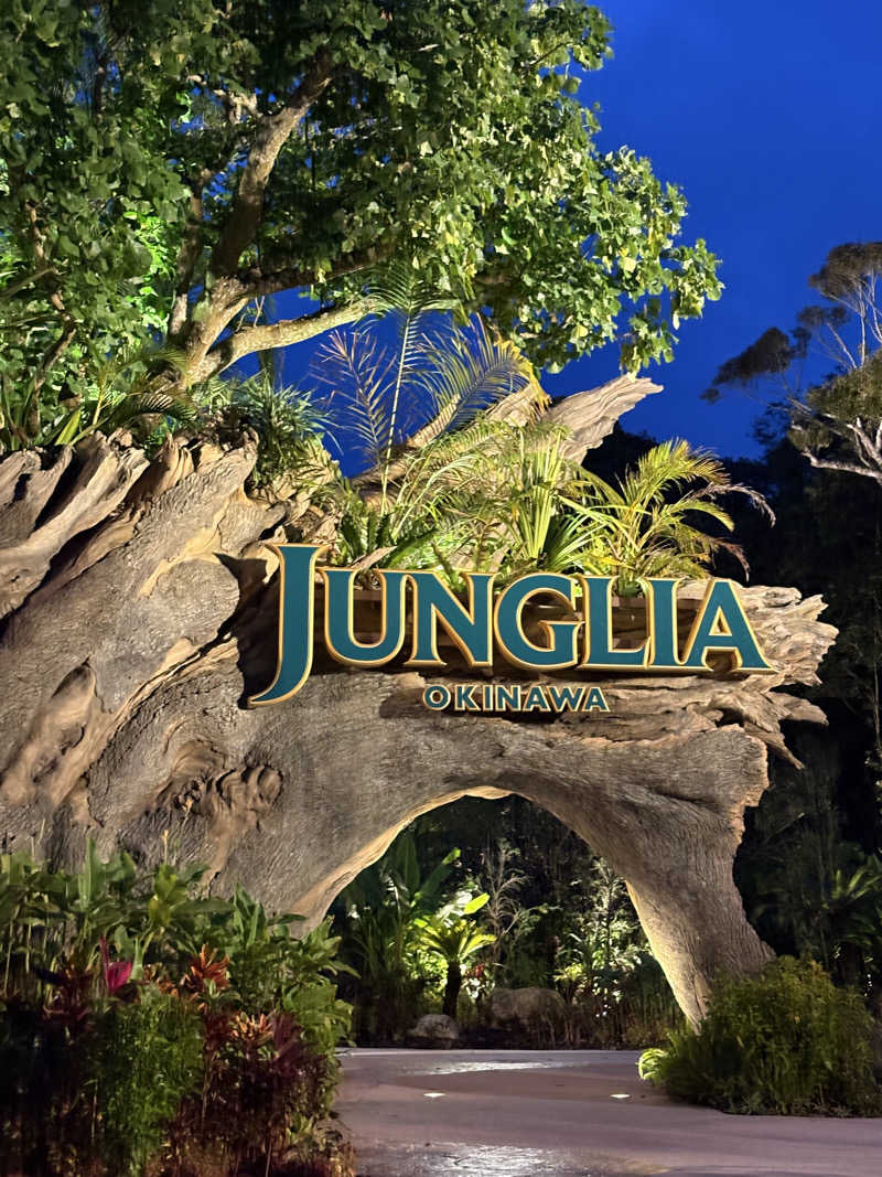 D naikakuさんのスパ ジャングリアのサ活写真