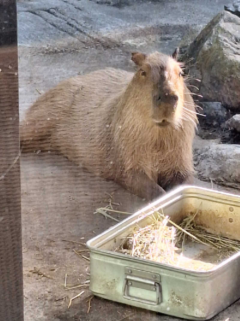 パームさんの石狩天然温泉 番屋の湯のサ活写真