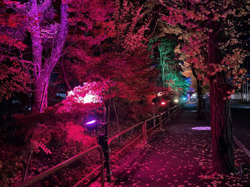 小鳥遊秋悟さんの花巻温泉 ホテル紅葉館のサ活写真