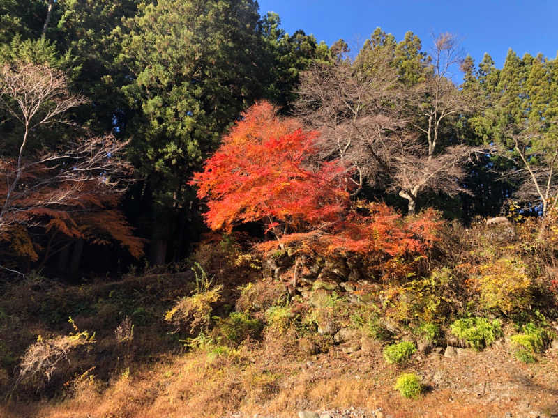 カモちゃんa.k.a感謝するサウナーさんの金の森山荘のサ活写真