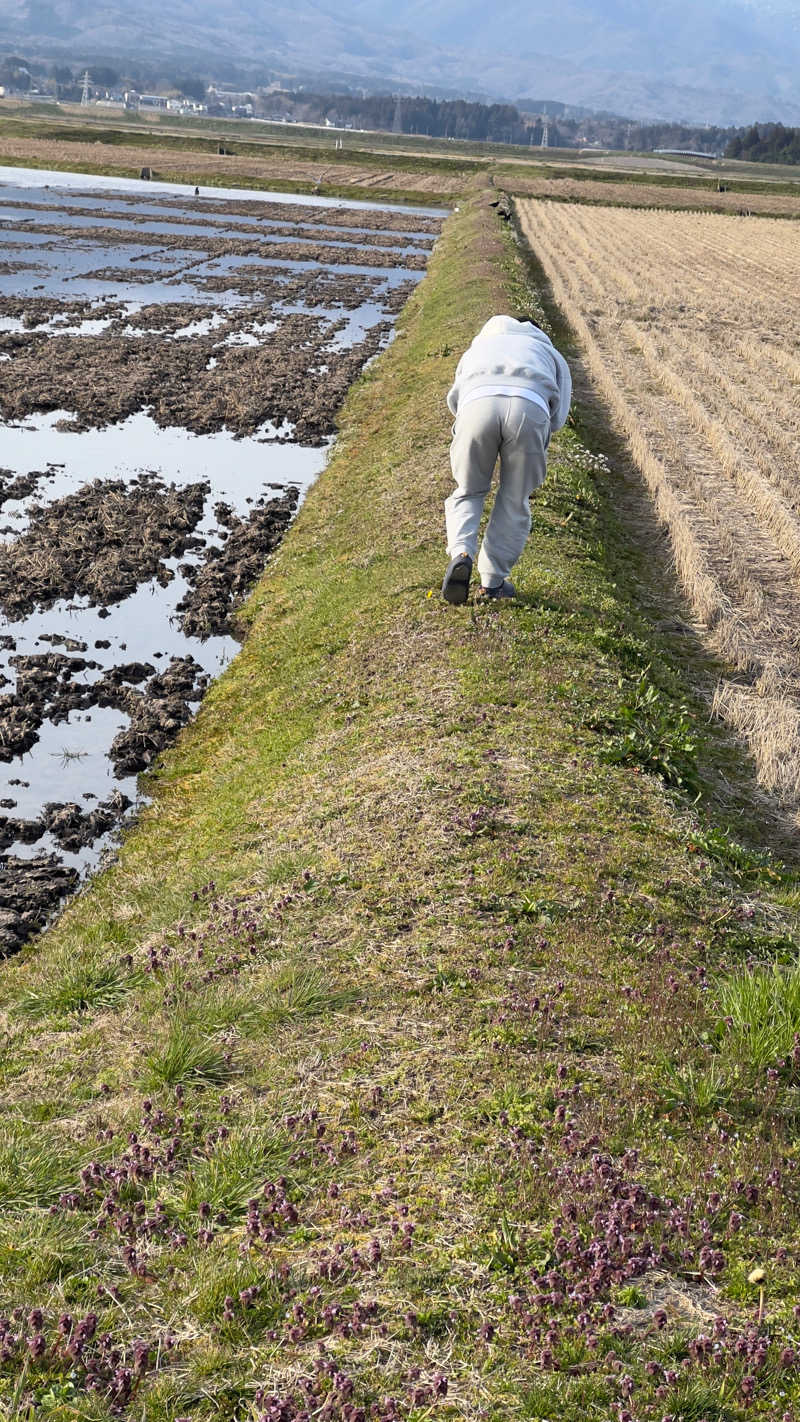 カモちゃんa.k.a感謝するサウナーさんのHOSTEL perch (パーチ)のサ活写真