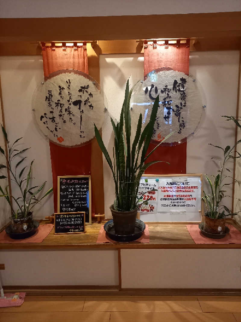 陰キャ系引き籠りぼっちサウナー2.0さんの岩見沢温泉なごみのサ活写真