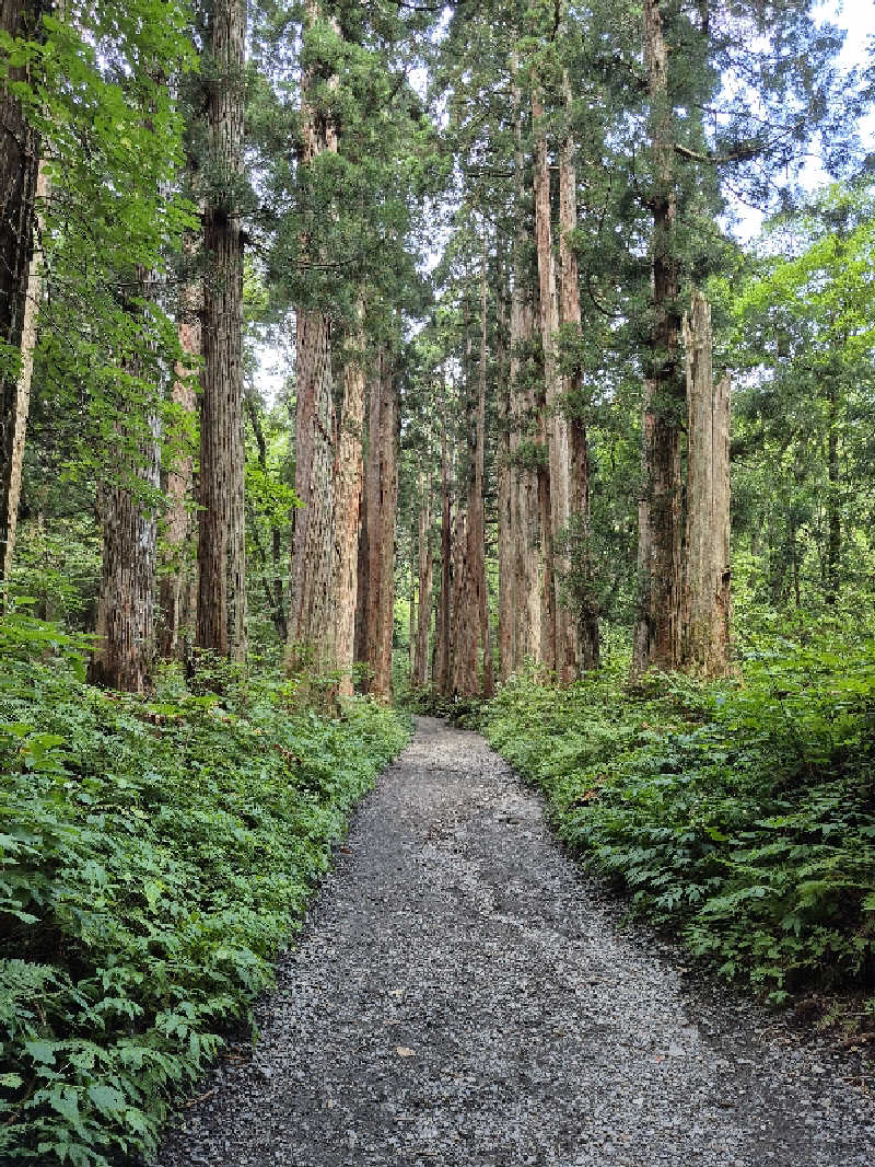 陰キャ系引き籠りぼっちサウナー2.0さんの緑翠亭 景水のサ活写真