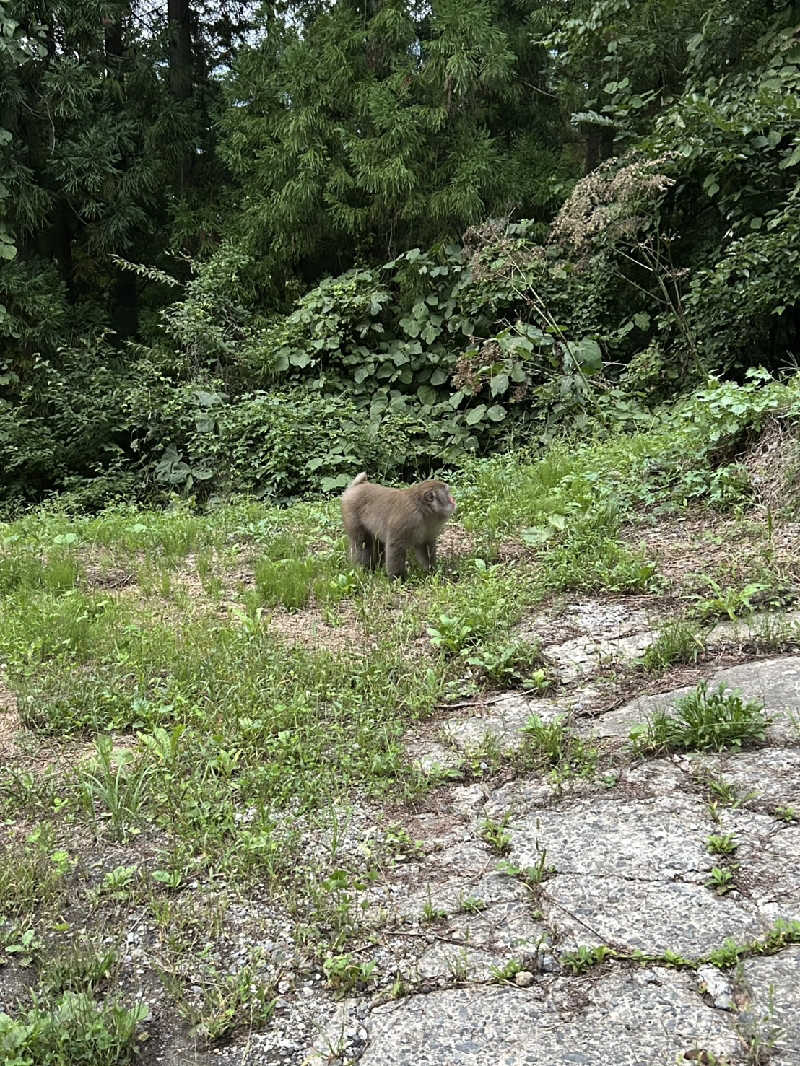 陰キャ系引き籠りぼっちサウナー2.0さんの緑翠亭 景水のサ活写真