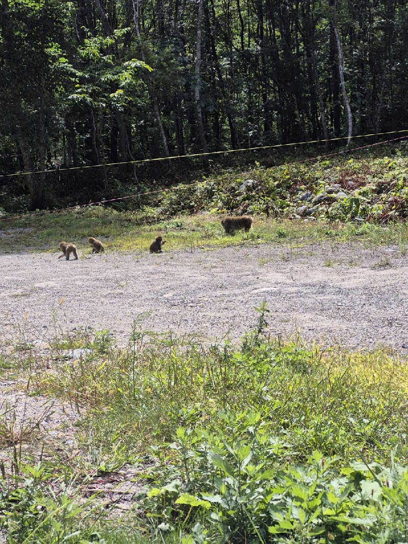 陰キャ系引き籠りぼっちサウナー2.0さんのonsen hotel OMOTOのサ活写真