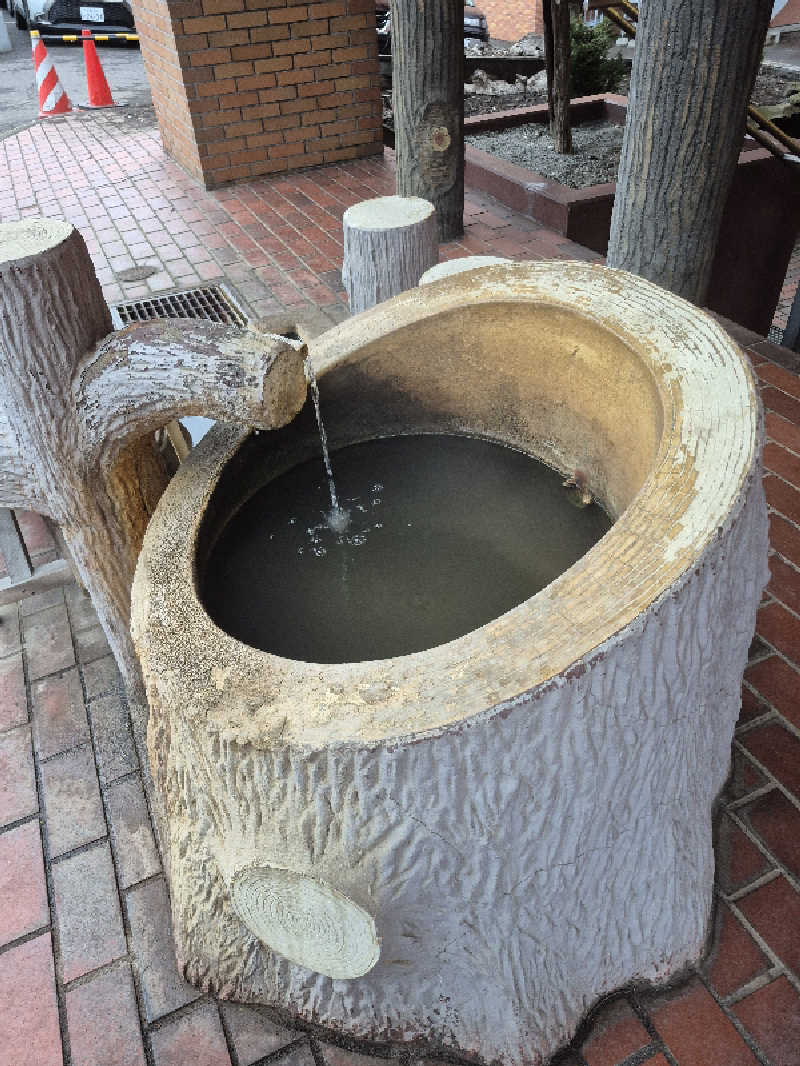 陰キャ系引き籠りぼっちサウナー2.0さんの洞爺湖万世閣 ホテルレイクサイドテラスのサ活写真