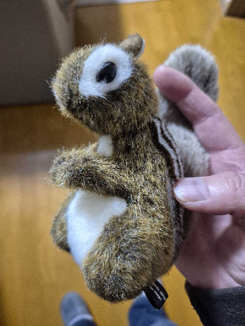 陰キャ系引き籠りぼっちサウナー2.0さんの楽々温泉のサ活写真