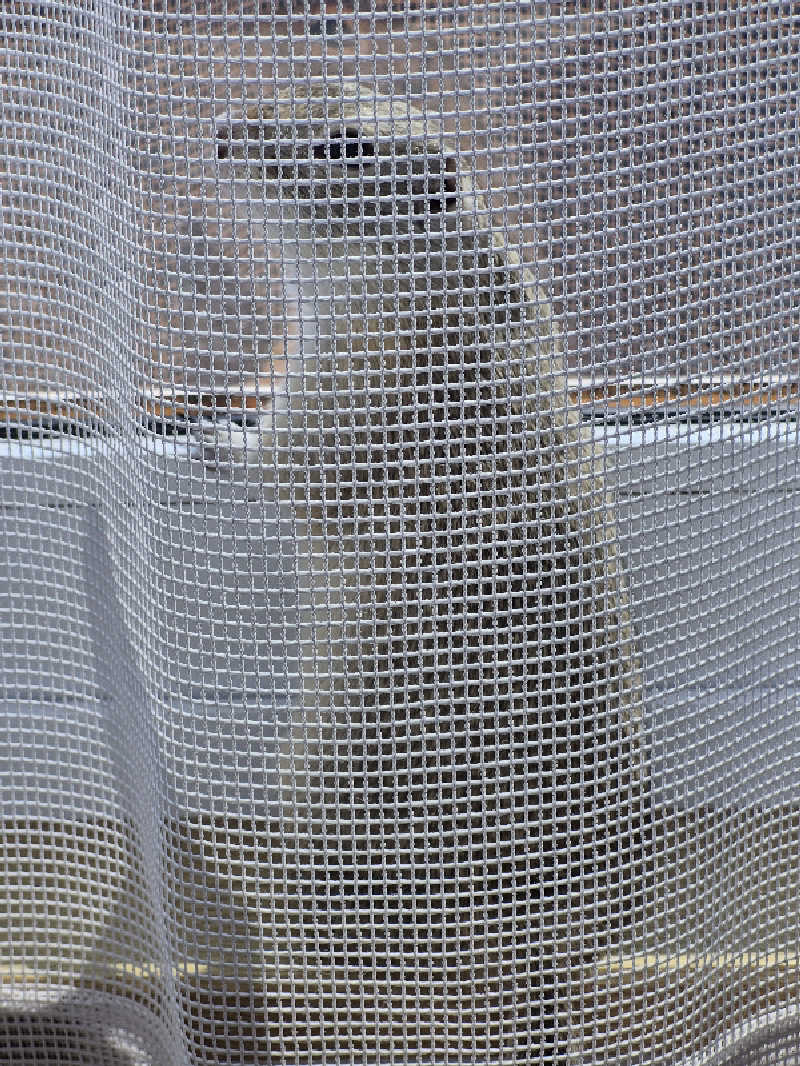 陰キャ系引き籠りぼっちサウナー2.0さんの楽々温泉のサ活写真