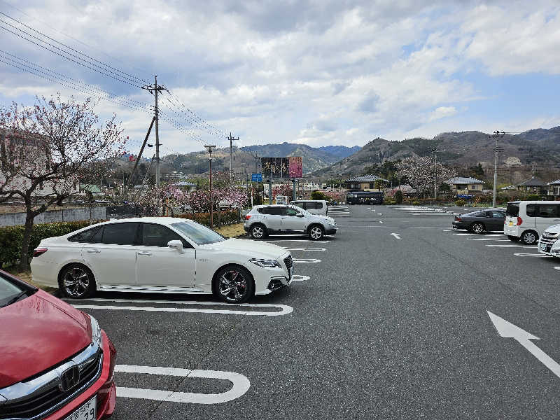 macotoさんの天然自家源泉 星音の湯のサ活写真