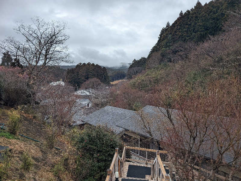 ▼・谷・▼パグ使い。さんの御殿場高原 天然温泉 茶目湯殿のサ活写真
