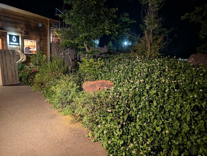 ▼・谷・▼パグ使い。さんの湯屋 FUROBAKKA(フロバッカ)のサ活写真