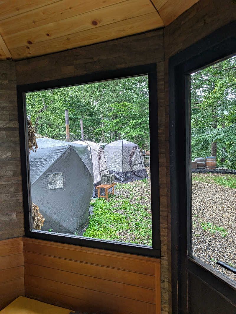 ▼・谷・▼パグ使い。さんのSAUNA TEN            "Birch and cloud forest"のサ活写真