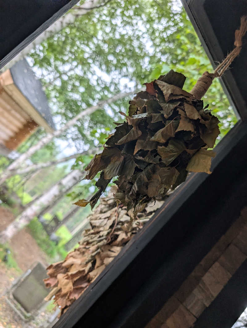 ▼・谷・▼パグ使い。さんのSAUNA TEN            "Birch and cloud forest"のサ活写真