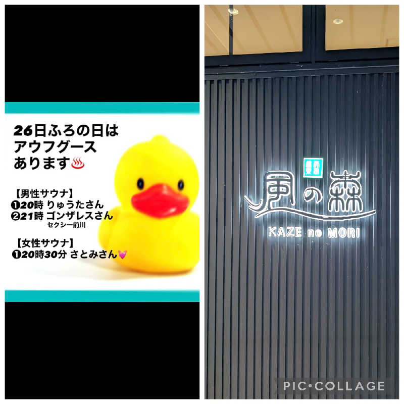 ▼・谷・▼パグ使い。さんの天然温泉 風の森のサ活写真