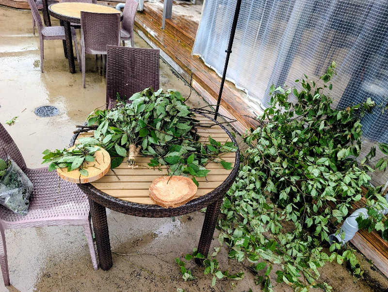 ▼・谷・▼パグ使い。さんの湯屋 FUROBAKKA(フロバッカ)のサ活写真